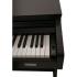 NUX WK-520-BROWN